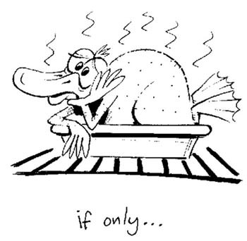 roasting-duck-cartoon